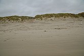 DSC_0410.JPG