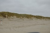DSC_0411.JPG