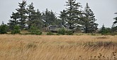 DSC_0421.JPG