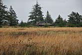 DSC_0422.JPG