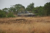 DSC_0423.JPG
