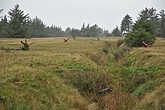 DSC_0424.JPG