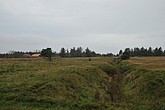 DSC_0425.JPG