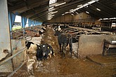 DSC_0431.JPG