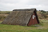 DSC_0441.JPG
