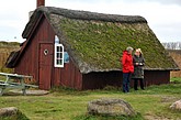 DSC_0444.JPG