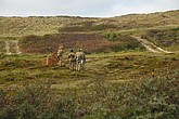 DSC_0446.JPG