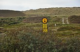 DSC_0447.JPG