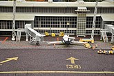 DSC_0456.JPG