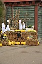 DSC_0476.JPG