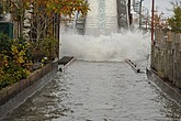 DSC_0485.JPG