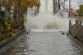 DSC_0486.JPG