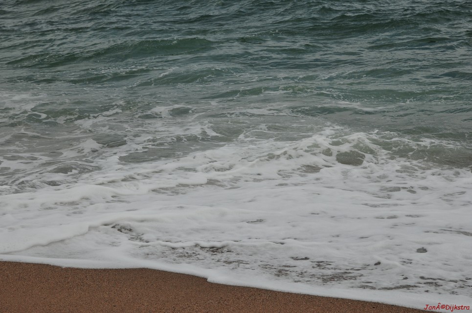 dsc_9372.jpg