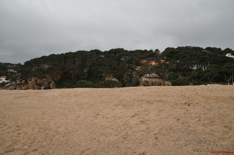 dsc_9376.jpg