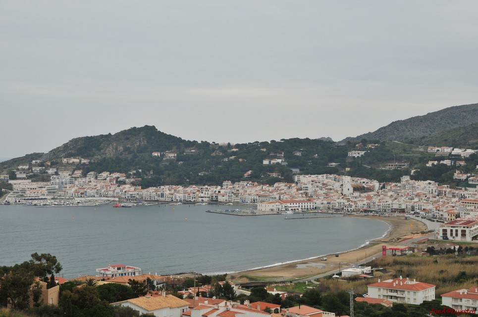 dsc_9429.jpg