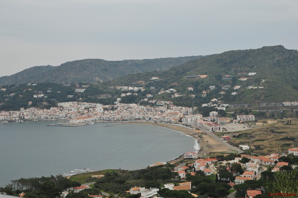 dsc_9431.jpg