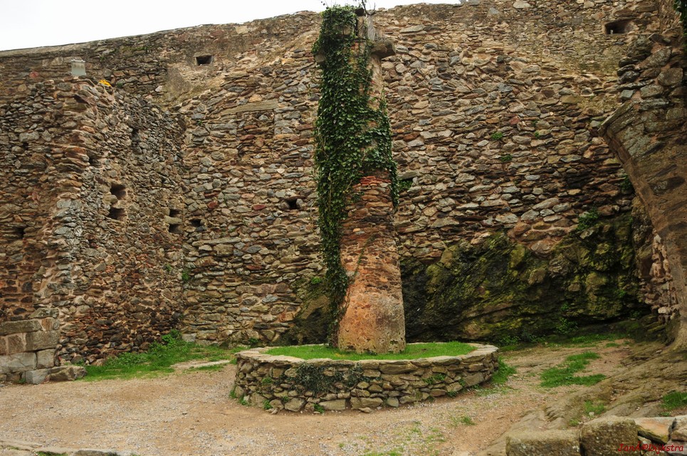 dsc_9455.jpg