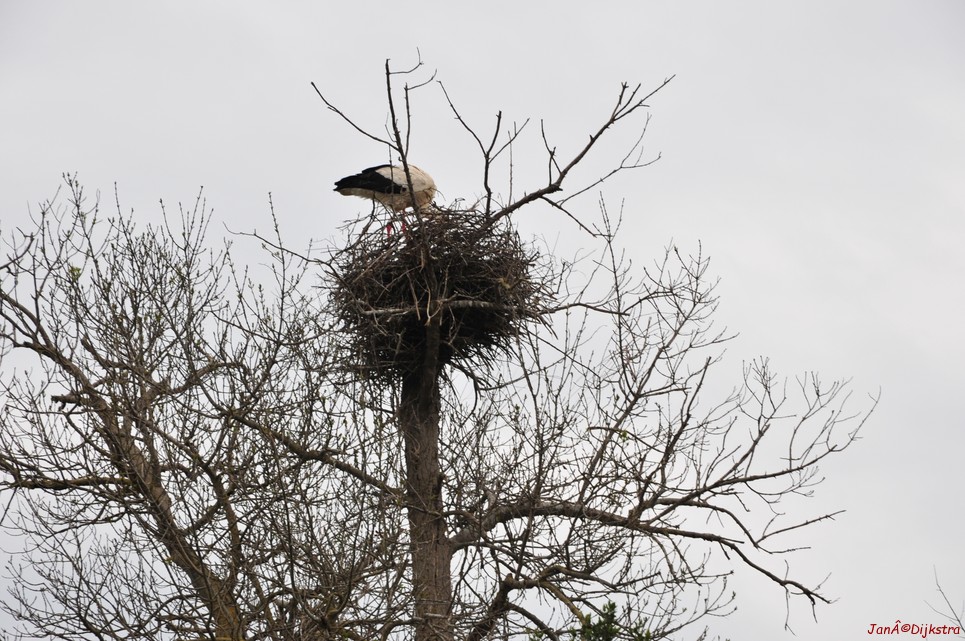 dsc_9481.jpg