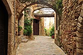 dsc_9391.jpg