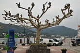 dsc_9420.jpg