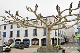 dsc_9421.jpg