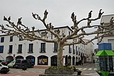 dsc_9422.jpg