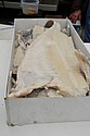 dsc_9426.jpg