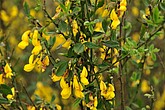 dsc_9437.jpg