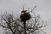 dsc_9479.jpg