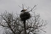 dsc_9480.jpg