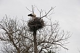 dsc_9481.jpg