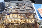 dsc_9484.jpg