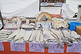dsc_9496.jpg