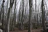 dsc_9499.jpg