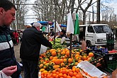 dsc_9500.jpg