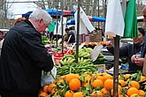 dsc_9501.jpg