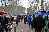 dsc_9502.jpg