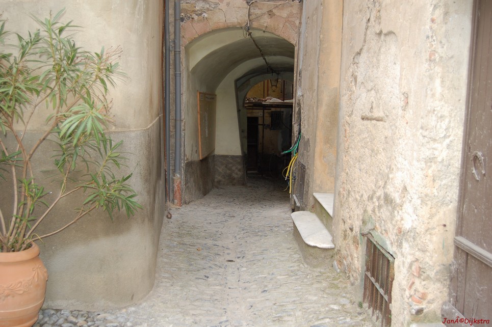 DSC_0055.JPG