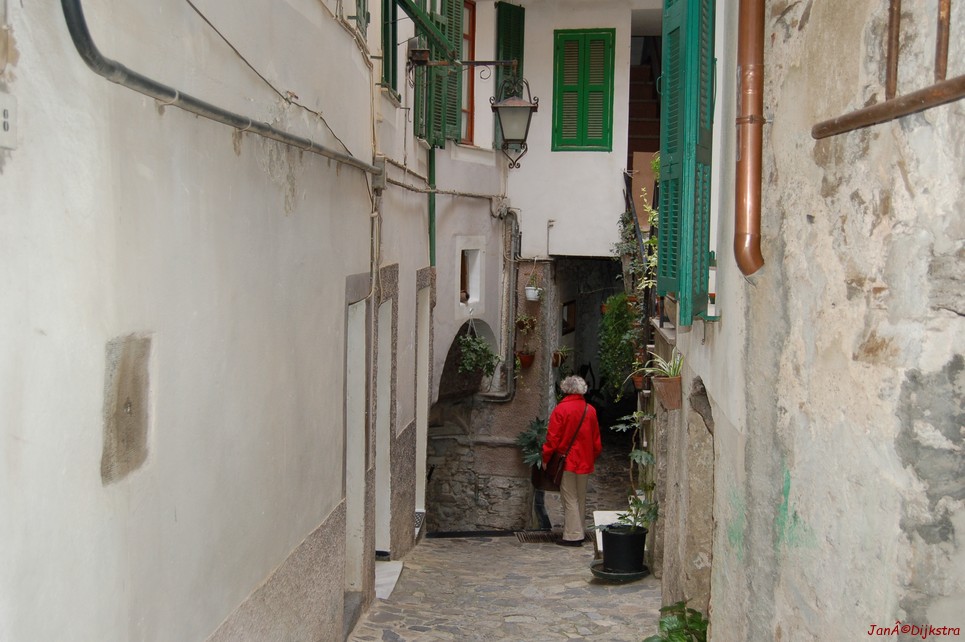 DSC_0057.JPG