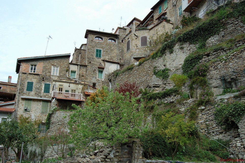 DSC_0074.JPG