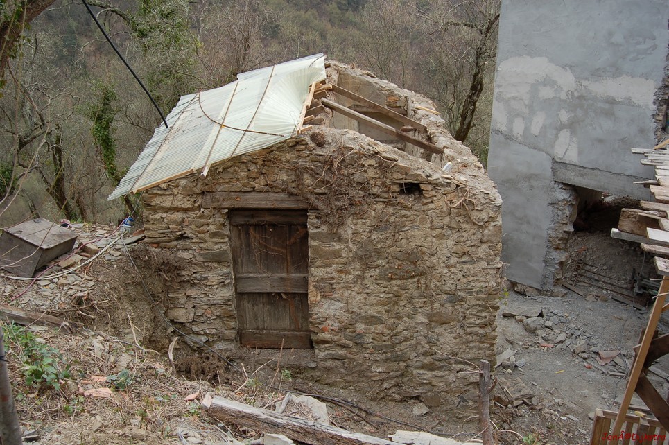 DSC_0078.JPG