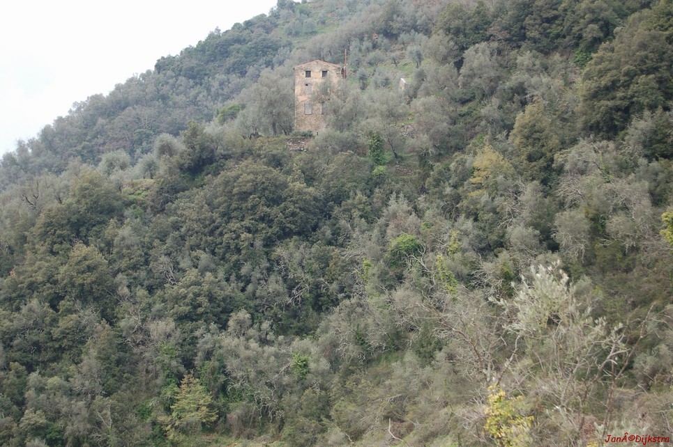 DSC_0087.JPG