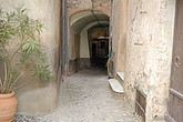 DSC_0055.JPG