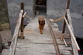 DSC_0080.JPG