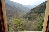 DSC_0082.JPG