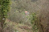 DSC_0085.JPG