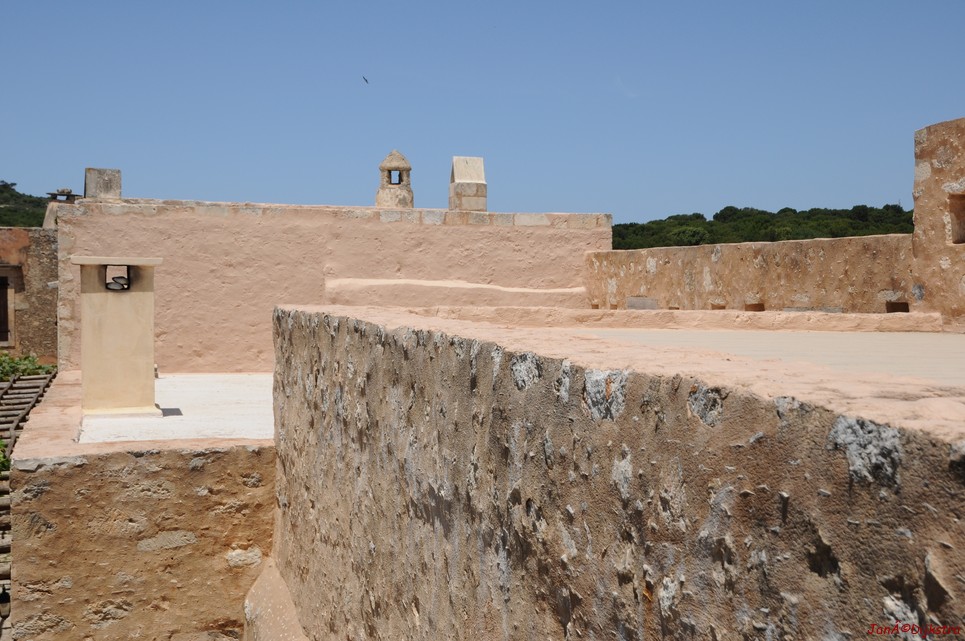 DSC_3453.JPG