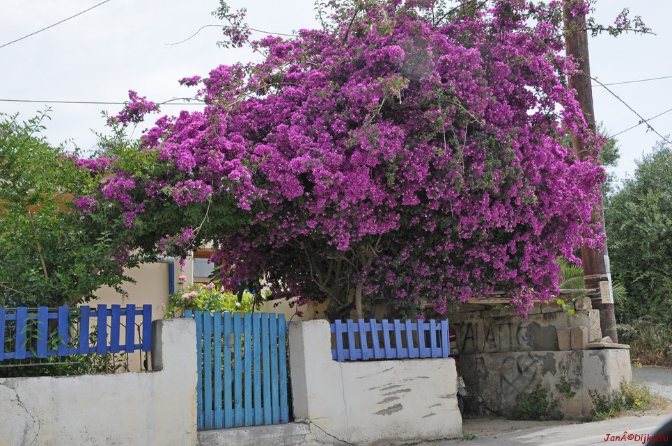DSC_3472.JPG