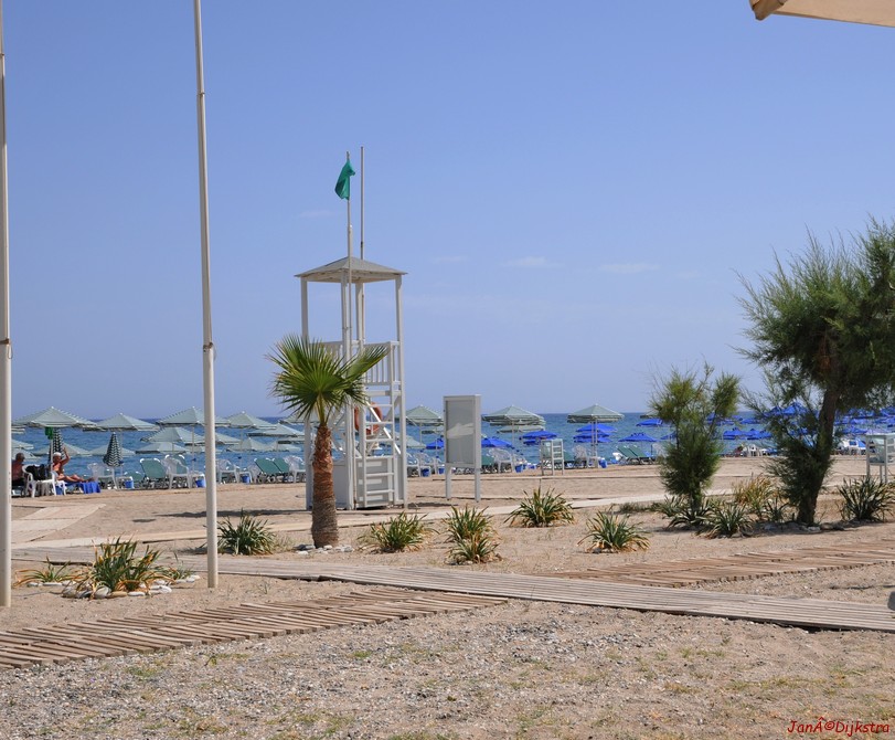DSC_3480.JPG