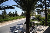 DSC_3341.JPG